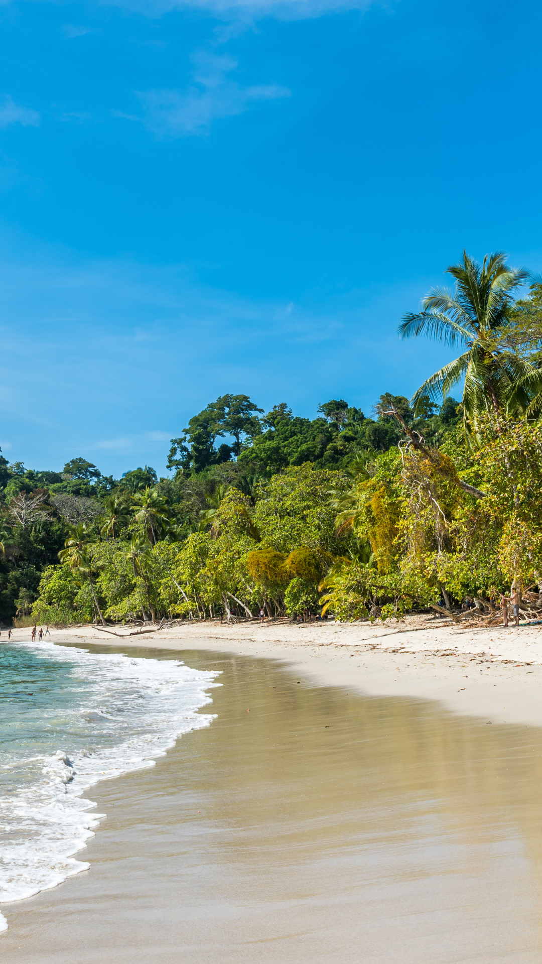 Diseño sin título (72)